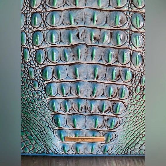 BRAHMIN..IRIDESCENT ESPLANADE CROSSBODY HANDBAG - Picture 11 of 15